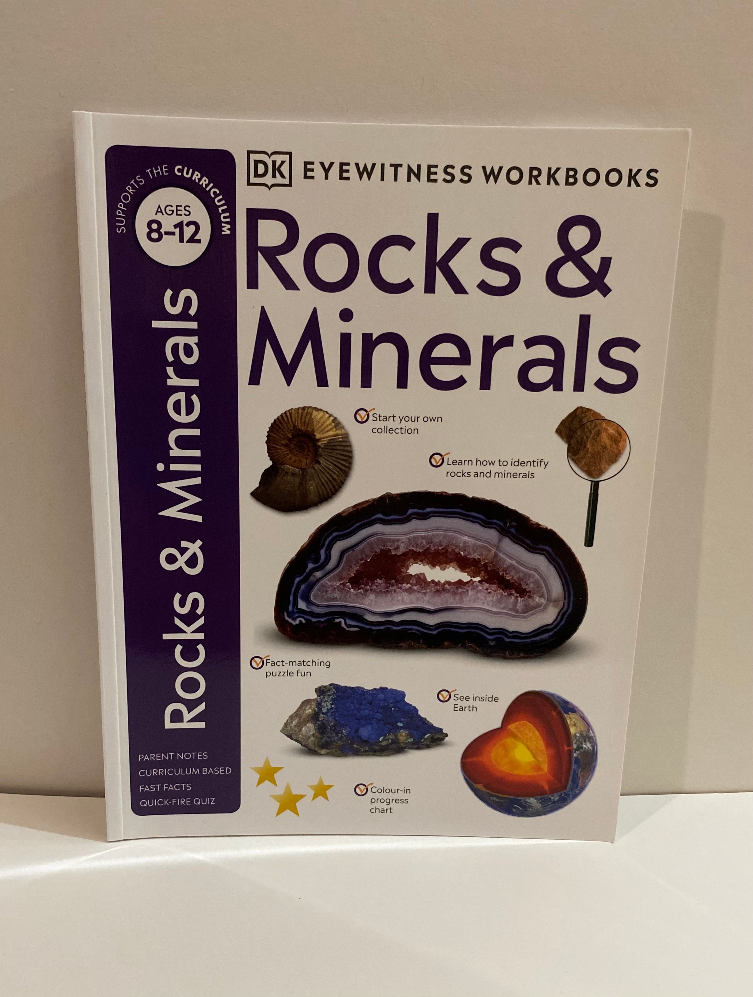 Rocks & Minerals (Eyewitness Workbook) by Helen Whittaker