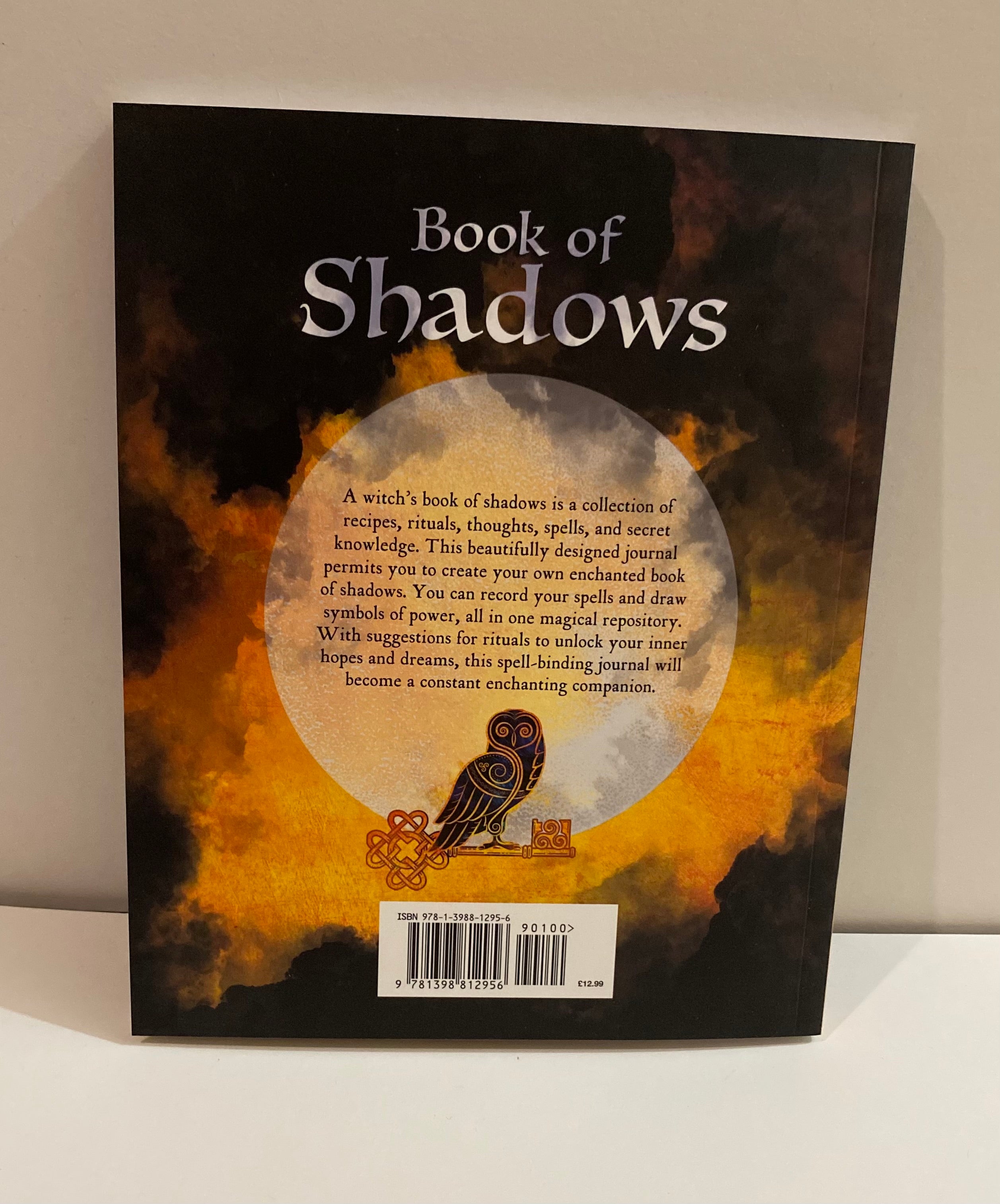 Book Of Shadows: A Journal to Make Magical Discoveries by Silver Raven
