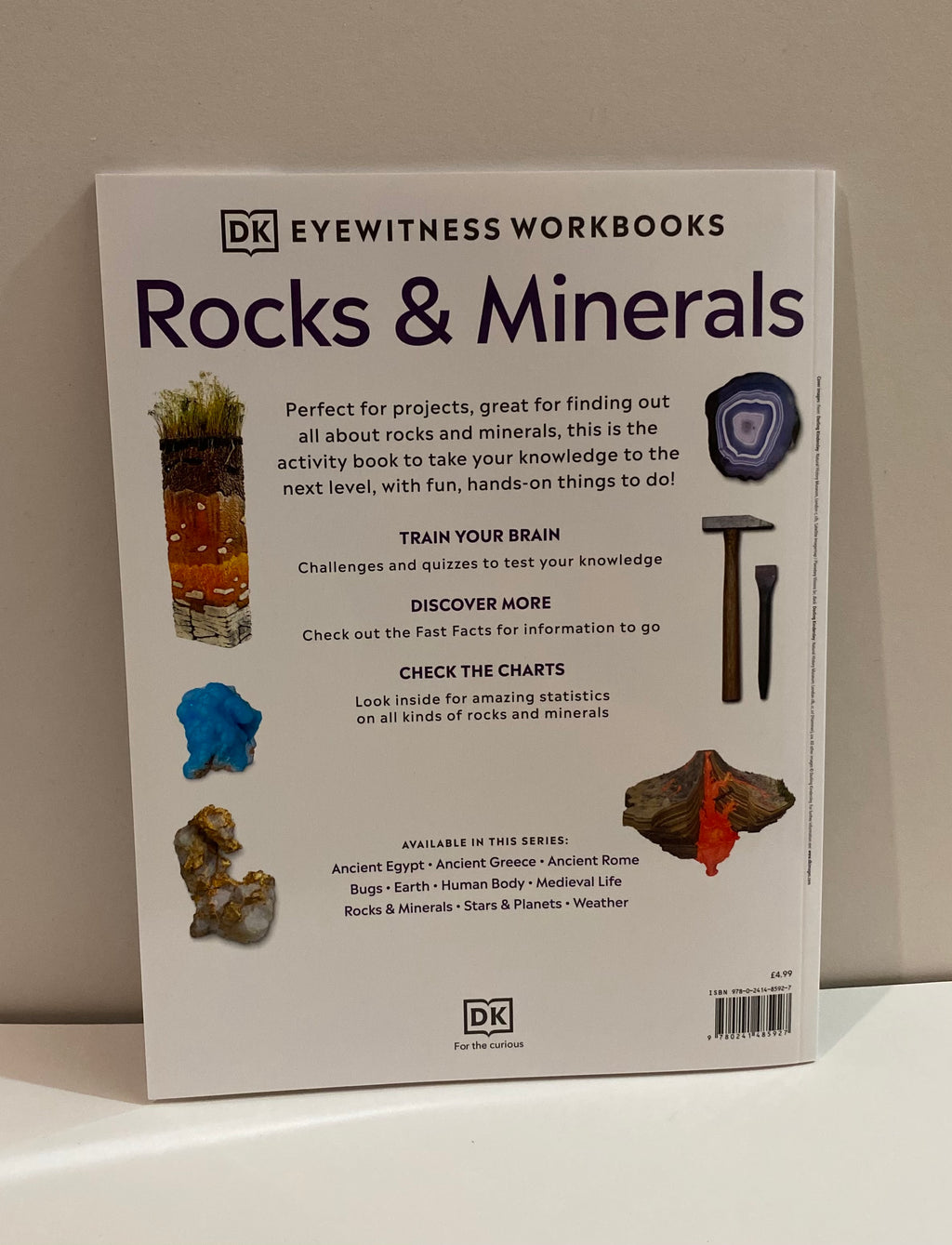 Rocks & Minerals (Eyewitness Workbook) by Helen Whittaker