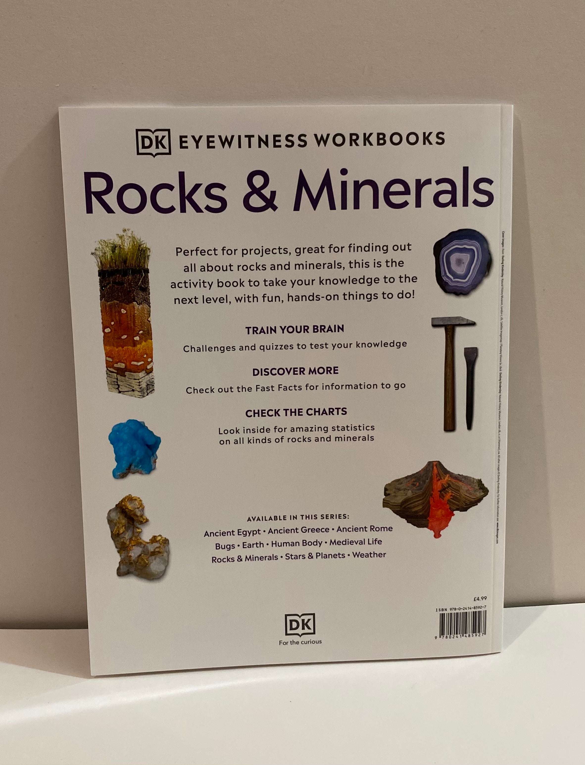 Rocks & Minerals (Eyewitness Workbook) by Helen Whittaker