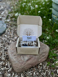 Yerba Santa Crystal Energy Cleansing Kit