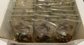 My Gemstone Collection Magnifier Bag
