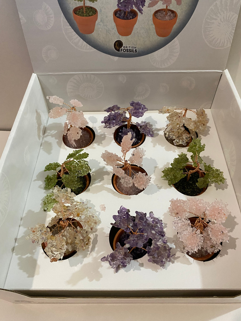 Potted Gemtree Pack