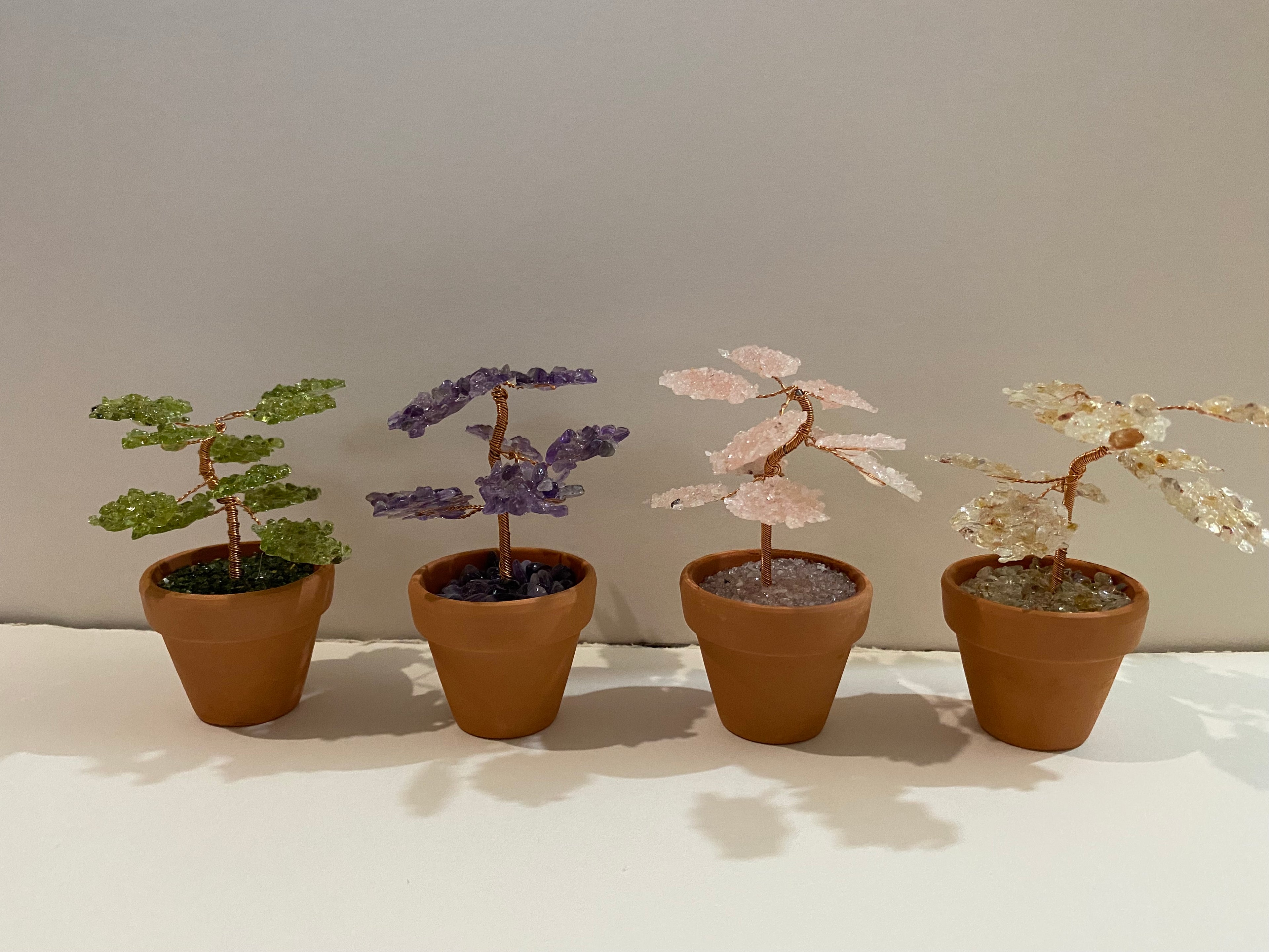 Potted Gemtree Pack