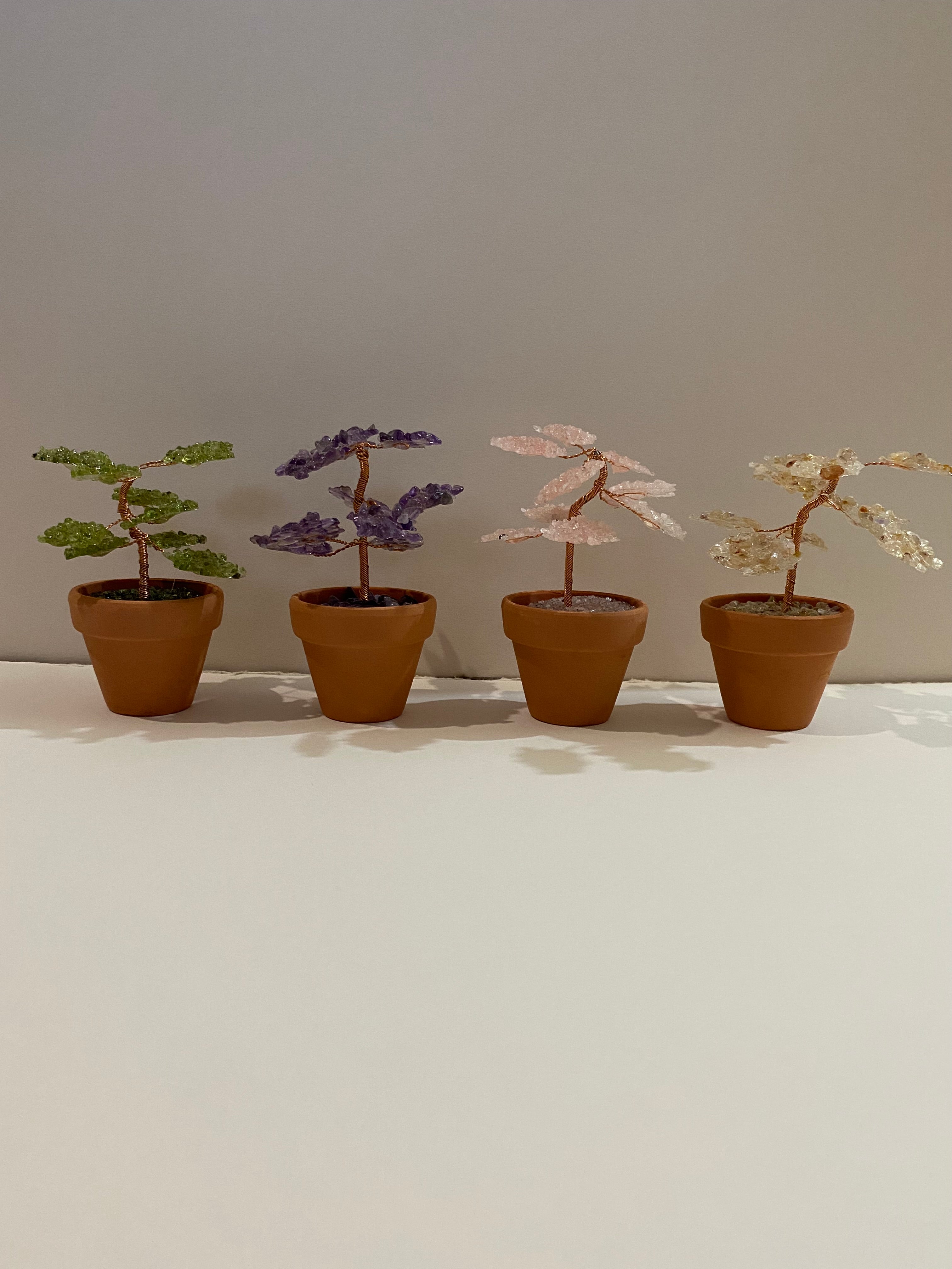 Potted Gemtree Pack