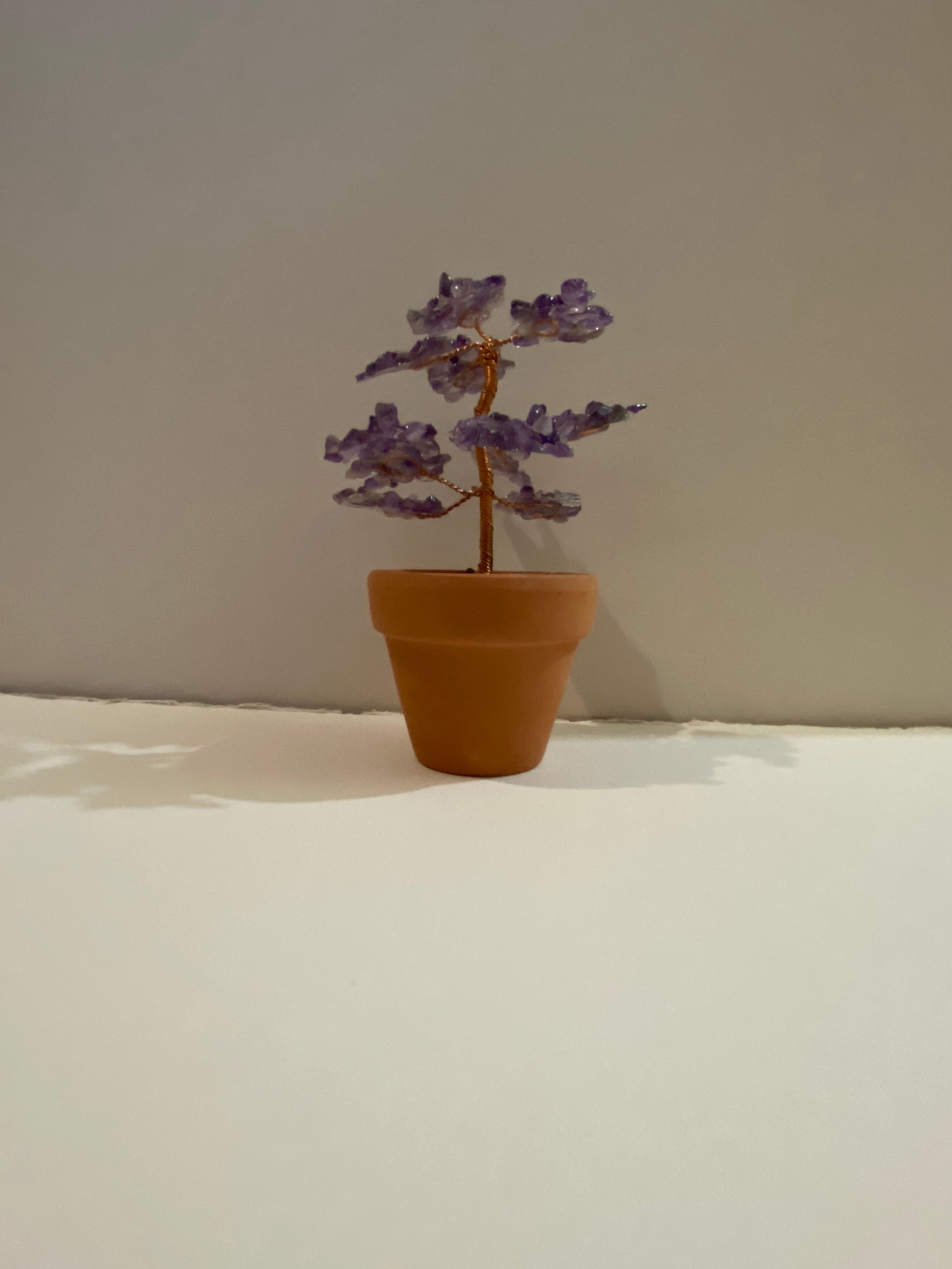 Potted Gemtree Pack