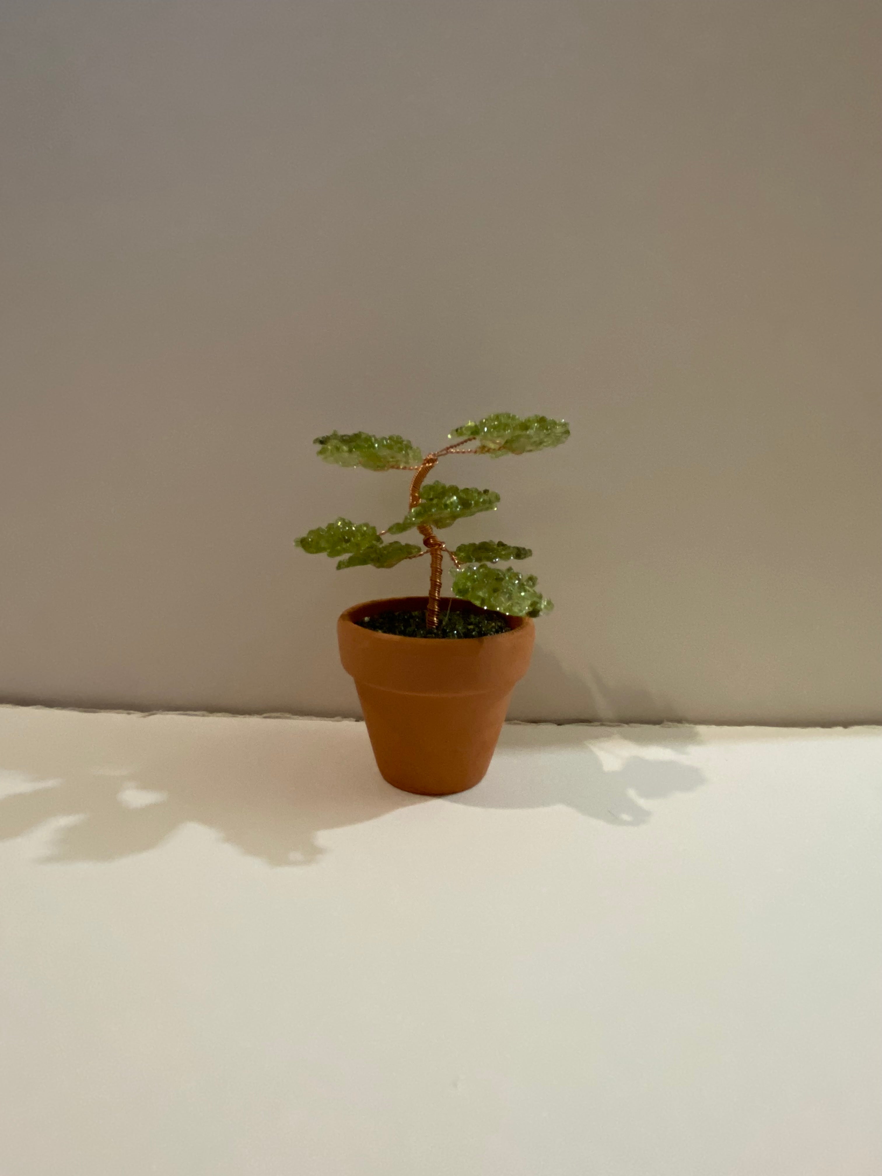 Potted Gemtree Pack