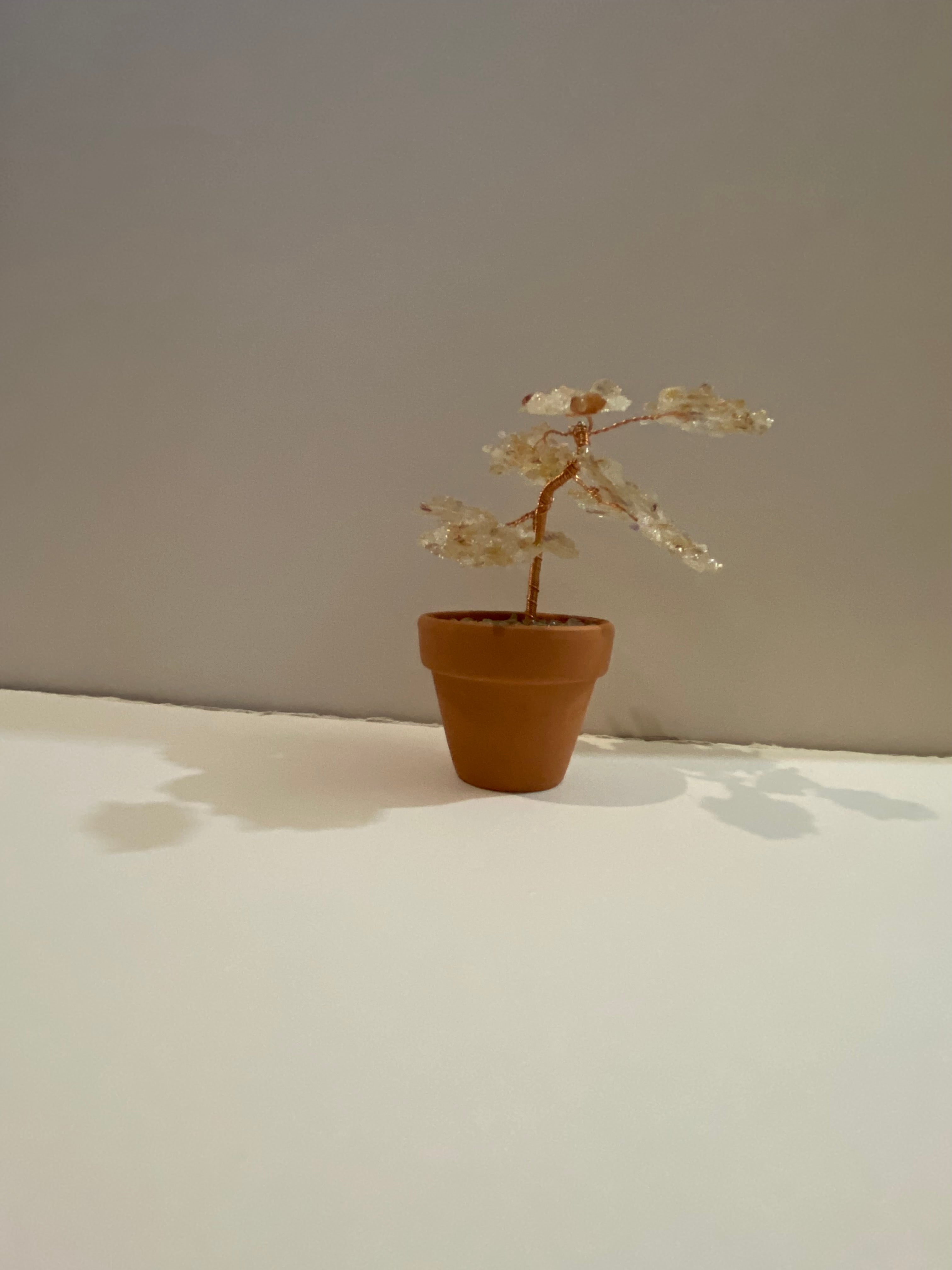Potted Gemtree Pack