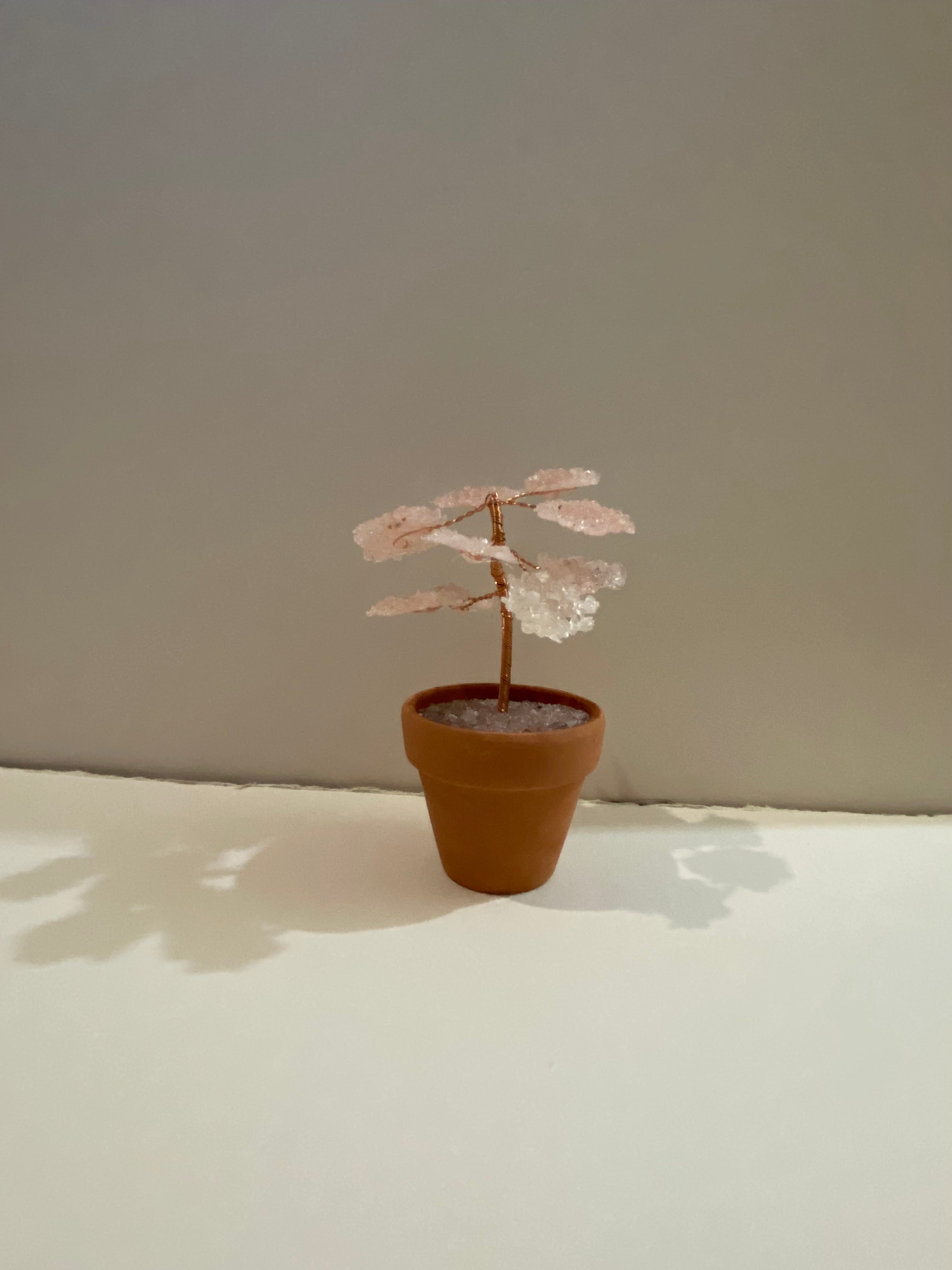 Potted Gemtree Pack